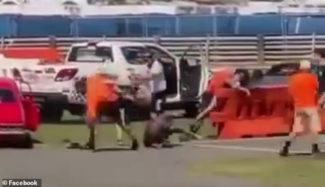 A wild brawl broke out at a Father's Day motorcycle event in south-east Queensland