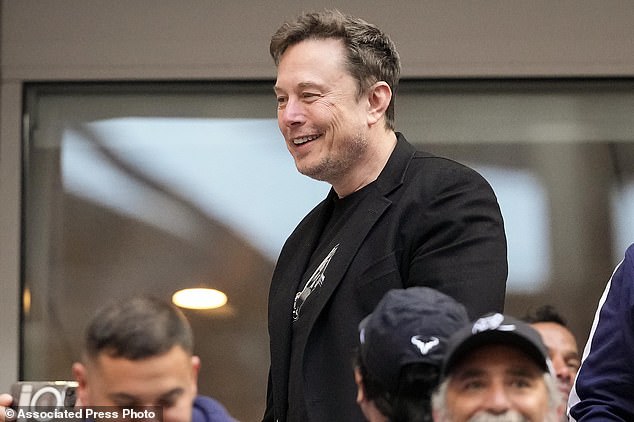 Elon Musk talks to other spectators as he watches Jannik Sinner of Italy and Taylor Fritz of the United States match during the men's singles final of the US Open tennis championship, Sunday, Sept. 8, 2024, in New York. (AP Photo/Kirsty Wigglesworth)