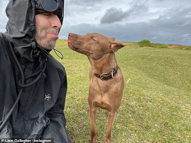 Liam Gallagher reportedly flew his rescue dog Buttons on a private jet so the dog could join the family on a summer holiday to France this summer