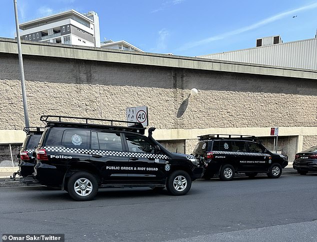 Members of the Public Order Riot Police were seen at the incident in Auburn