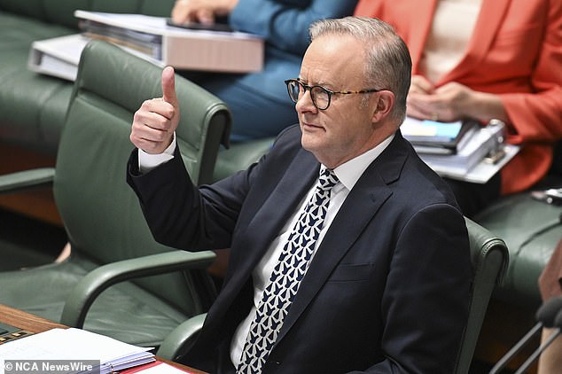 Anthony Albanese's government has introduced new laws that could see companies fined millions if they don't stop fraud