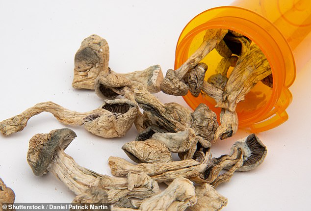 Psilocybin in magic mushrooms has been linked to psychotic episodes, but especially in people with a history of depression, anxiety, or other mood or personality disorders.