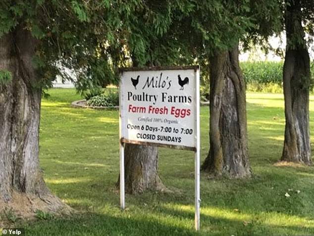 According to the FDA, the eggs were originally shipped from Milo's Poultry Farms to grocery stores and food suppliers in Michigan, Wisconsin and Illinois