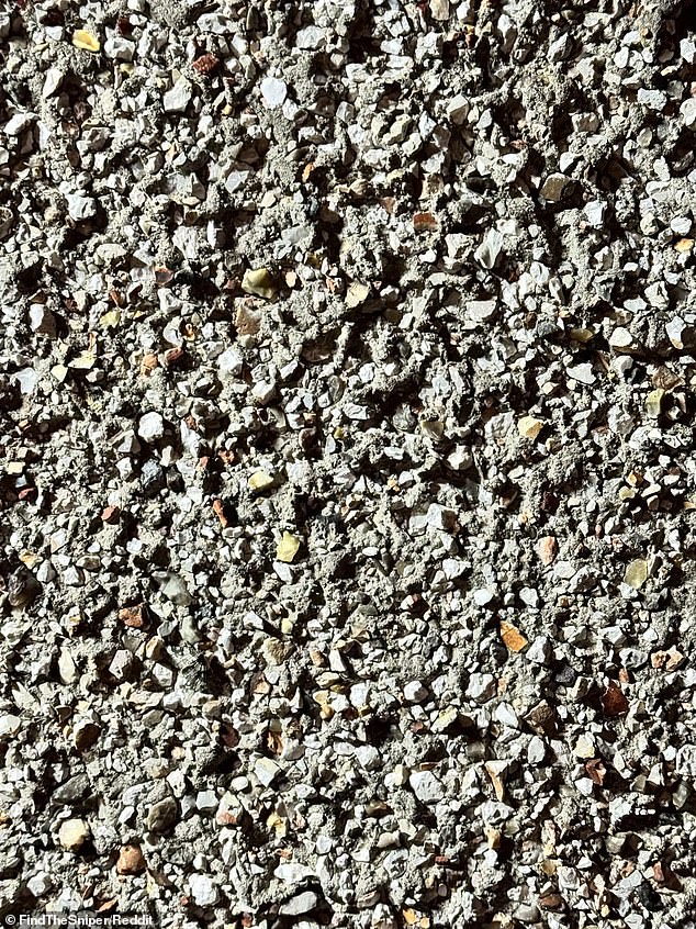 A mind-boggling brain teaser challenged people to spot a moth camouflaged against a brick wall