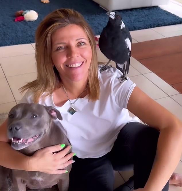 Molly the Magpie and her Staffordshire Terrier best friends Peggy and Ruby could be separated again, just months after they were reunited