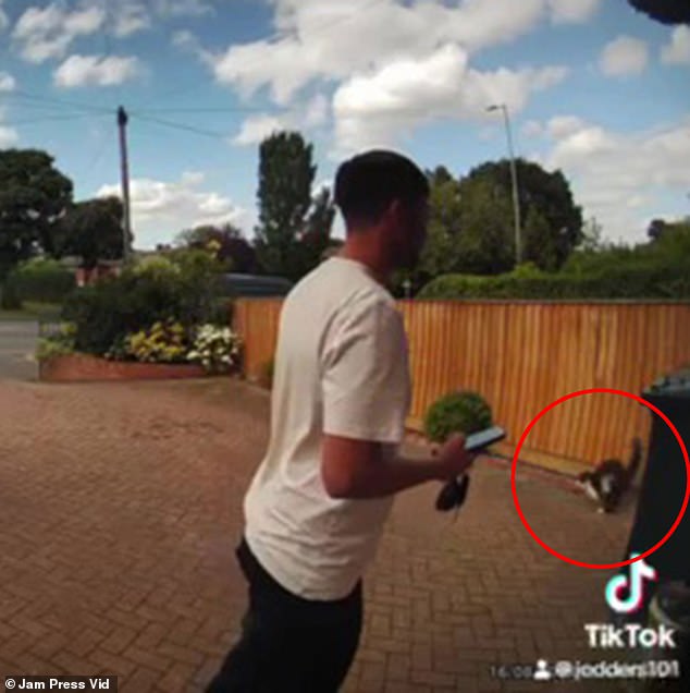 Moment Amazon delivery driver is caught on doorbell camera throwing