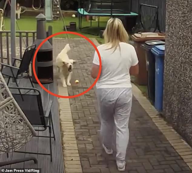 The footage, captured on a Ring doorbell, shows Debra Martin pausing a game of catch between her one-year-old dog and her eight-year-old granddaughter Zoey.