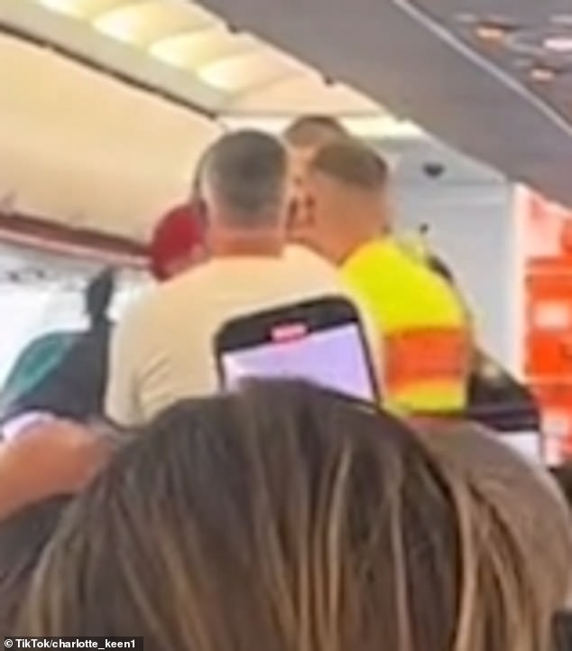 A drunk passenger attempted to storm the cockpit while a plane was in the air at 30,000 feet after calling the pilot a 