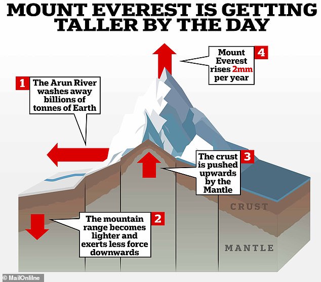 Mount Everest is rising at a rate of 2mm per year, researchers say. As erosion makes the mountain lighter, it is pushed upward by the fluid mantle