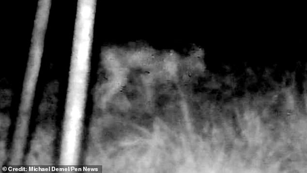 The camera captured what appeared to be a small creature walking on all fours. But upon closer inspection, the legs are different sizes and there are bumps on its back. Some have suggested it was a 'skinwalker'