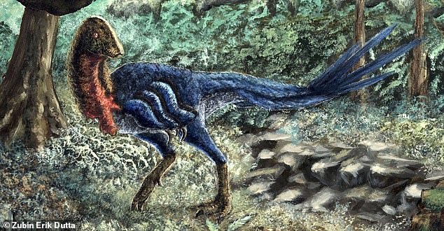 Above is an illustration of the new 'chicken from hell' - a smaller cousin of the previously famous and very fowl-like dinosaur, 'Anzu wyliei.' The new species has been dubbed the 'Pharaoh's dawn chicken from hell' ('Eoneophron infernalis' in Latin) by the 28-year-old who discovered it