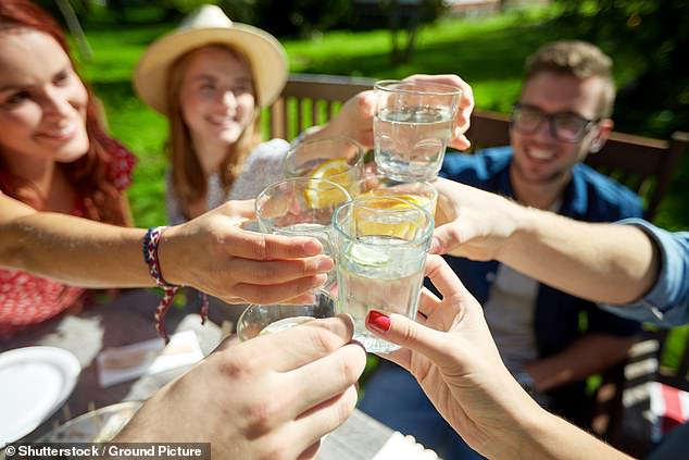 One in three drinkers raise a glass to 'non-alcoholic' versions of their favourite tipple, research shows (stock photo)