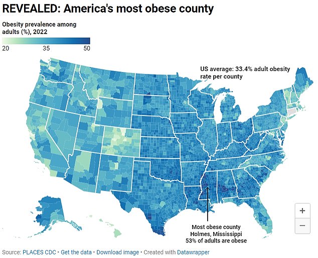 The above map shows the obesity rate by county in the US (map created by DailyMail.com)