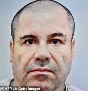 Her husband, Joaquín 'El Chapo' Guzmán Loera, in his mugshot in 2015