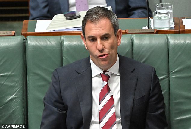 Finance Minister Jim Chalmers (pictured) is unwilling to make the kind of tough economic decisions that would help drive down inflation and interest rates