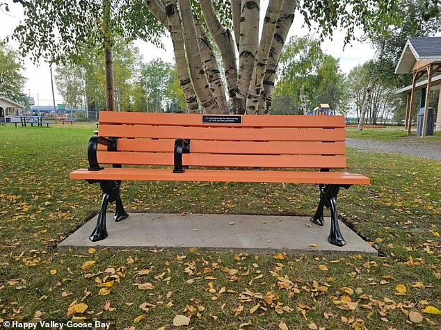 A bench in Kinsmen Park has divided the community of Happy Valley-Goose Bay, Newfoundland and Labrador