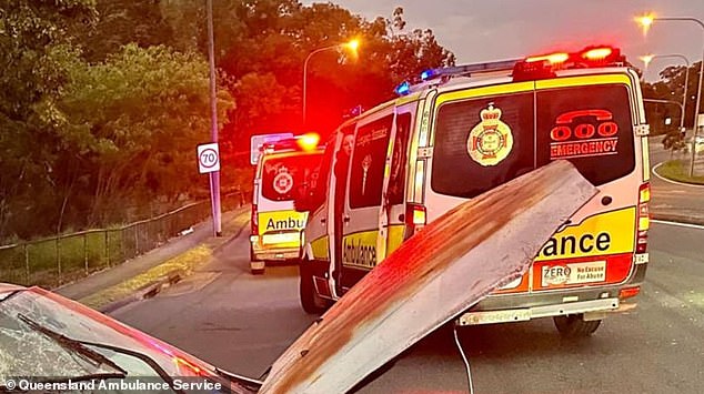 The unidentified passenger died at the scene of the crash on Kessels Road in Coopers Plains, south of Brisbane, at around 4.50am on Thursday (pictured)