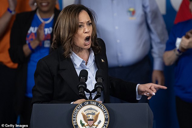 Kamala Harris' presidential campaign has stalled, the momentum that sprung from her coronation in Chicago last month gone.