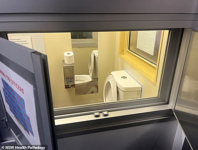 When he is released after about a year of treatment, Jake Hogan will still have to report three times a week to Parklea, where specially designed windowed toilets (above) allow staff to watch the men as they give their urine samples.