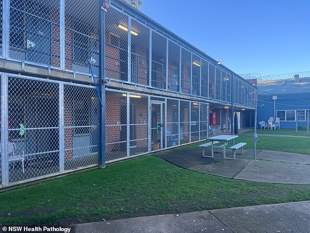 After agreeing to have his case transferred to drug court, Jake Hogan is now likely to be held in secure custody at Parklea Prison's Compulsory Drug Treatment Centre (above)