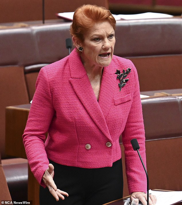 One Nation leader Pauline Hanson has delivered a fiery speech in parliament calling on public leaders and ordinary Australians to follow her example and turn their backs on Welcome to Country ceremonies.