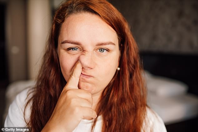 Research shows that nearly every American picks their nose, with many Americans picking their nose an average of four times a day.