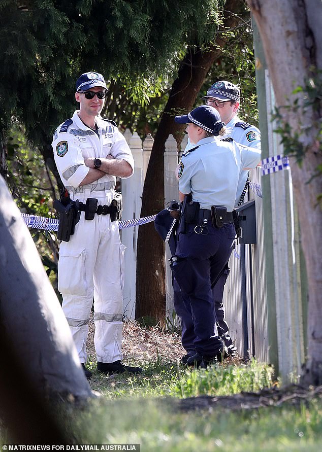 The boys' mother was taken to Westmead Hospital in Sydney with stab wounds