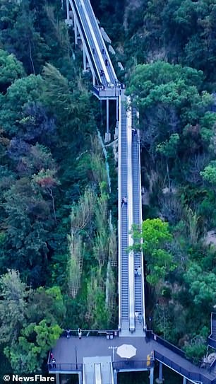 There is a winding road to the top of the mountain which takes about 50 minutes to walk. The escalator ride takes about 10 minutes and costs 30 Chinese yuen (£3.30/$4.32)