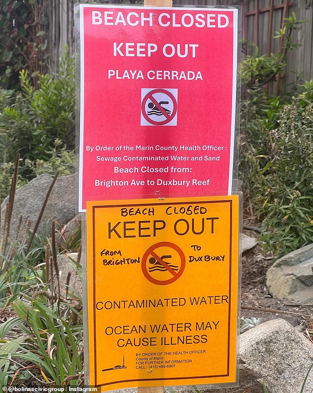 Bolinas Beach could be closed for three years due to a sewage leak that has seeped from nearby cliffs