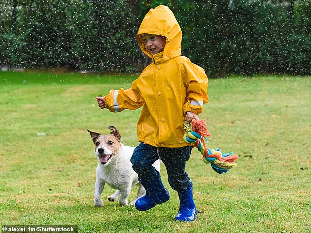 The research shows that letting children play with a dog can be beneficial by stimulating oxytocin production, also known as 'the love hormone' (file photo)