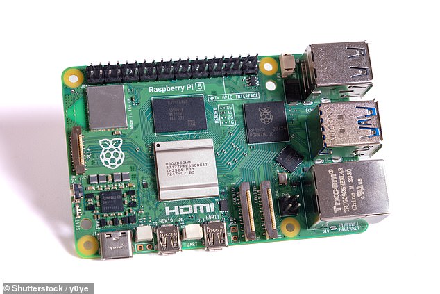 Results: Raspberry Pi reported its adjusted profit before the nasties, which rose 55 percent to $20.9 million in the six months ended June