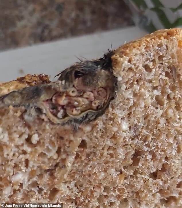 What looked like a rat was found, still covered in hair, in slices of bread