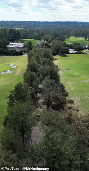 The drone footage captures Magnolia Lane in the aftermath of Hurricane Helene