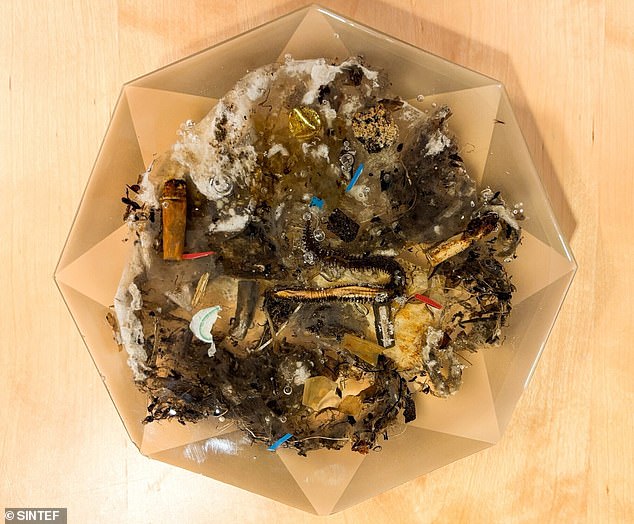 A wastewater sampling project by SINTEF, a research organization in Trondheim, Norway, now reveals the top five items you should not flush down the toilet. This disgusting image shows plastic, cigarette butts and more