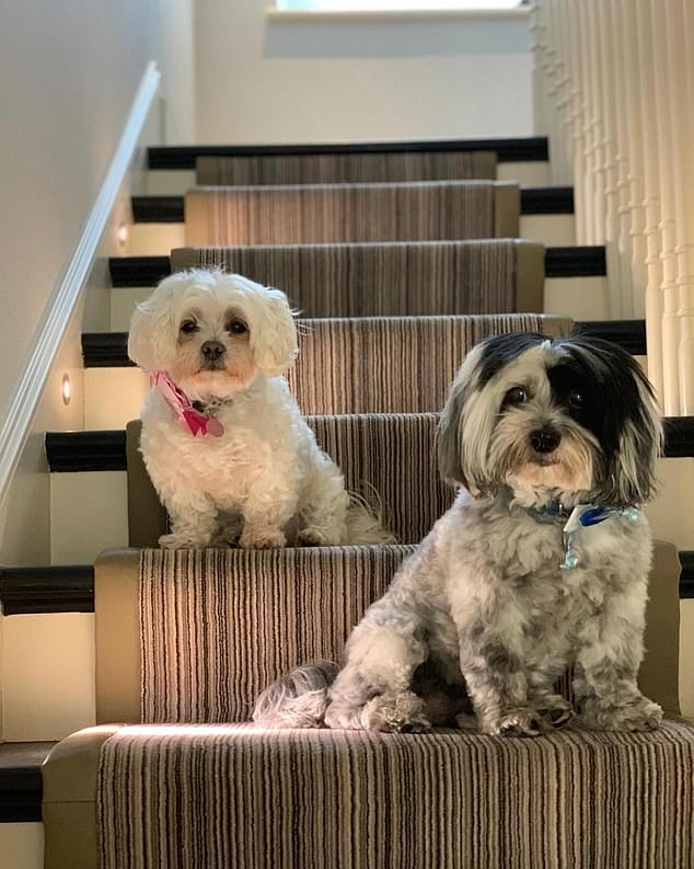 On Thursday, the 50-year-old pop legend and his 45-year-old American actress wife announced on Instagram that their beloved dogs Poupette and Walle had died together in bed. The losses mark the 'closing of a huge chapter'