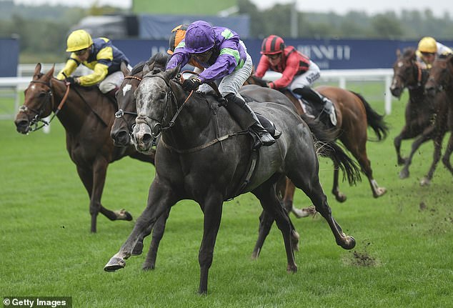 Mail Sport racing expert Robin Goodfellow gives his tips for Tuesday's meetings