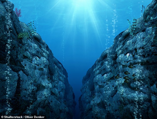 The Mariana Trench (artist's impression) is one of the most mysterious places on Earth