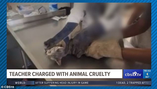 The video shows the cat being restrained after Benner ordered the students to do so