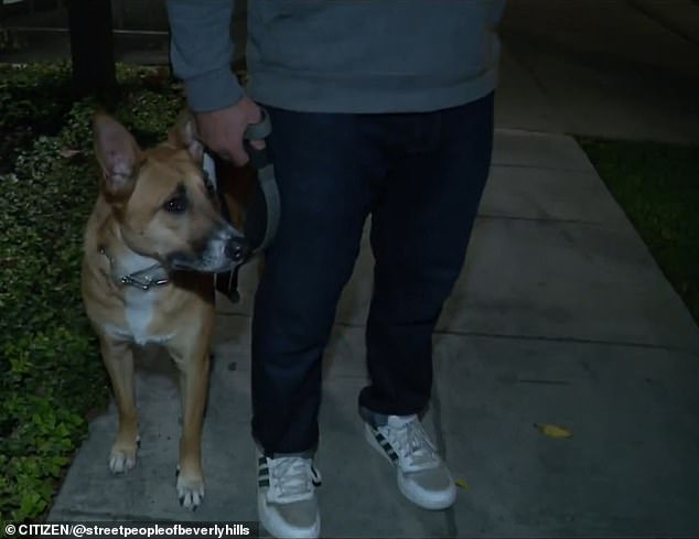 A good Samaritan jumped in after driving by and seeing the suspect - and remembering how he attacked the man and his baby. The man, who only wanted to be identified as Brian, recalled how he stopped to intervene and how the suspect attacked his dog