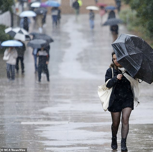 A wintry gust of strong winds and rain is likely to persist in NSW until the weekend (Photo: Sydney on Thursday)