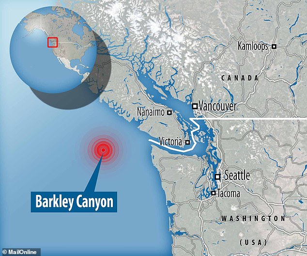 The animals made multiple visits to the 645-metre-deep Barkley Canyon research site off the west coast of British Columbia between 2022 and 2023.