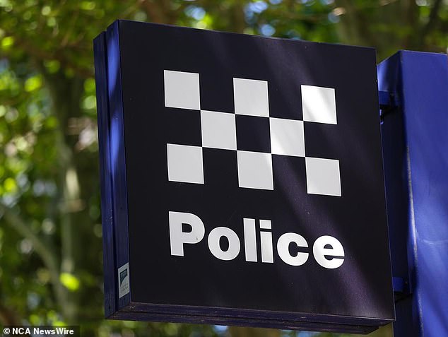 A teenager has been charged with terrorism offences over an alleged plot to attack a school in Brisbane's north