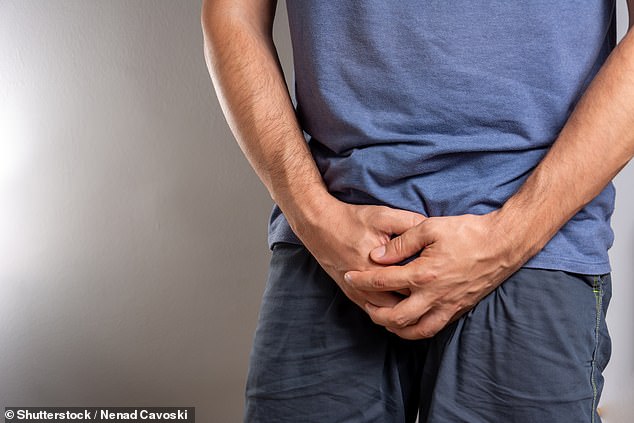 Experts have discovered that certain health conditions, such as heart disease and obesity, can reduce blood flow to the penis, making it appear smaller.