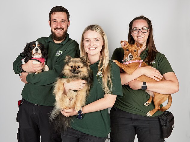 The Dog House opens its doors to a new series, giving fans a glimpse into the immense work that goes into finding homes for the beloved four-legged friends