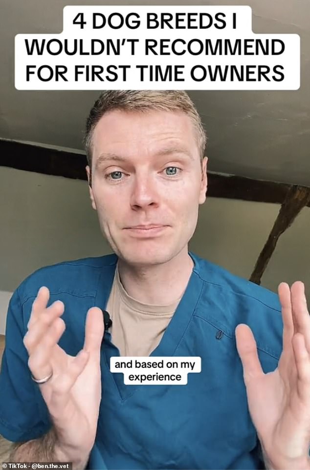 UK-based veterinarian Ben the Vet (pictured) revealed four breeds he wouldn't recommend for first-time dog owners in a recent TikTok video