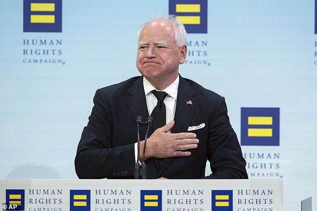 Minnesota Governor Tim Walz has responded to Taylor Swift's endorsement of Vice President Kamala Harris by recognizing his 'fellow cat owner' (stock image)