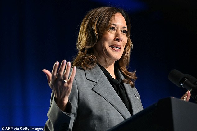 Top business school assesses Kamala Harris' claim she will make YOU better off if elected president