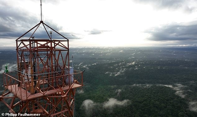 Air samples were taken at the Amazon Tall Tower Observatory (pictured) in the Brazilian rainforest