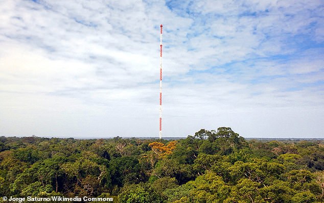 Harmful chemicals that last so long they are known as 'forever chemicals' have been found in the atmosphere of the Amazon rainforest for the first time, scientists report