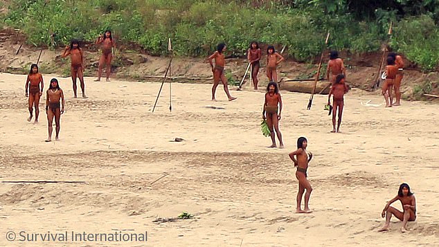 The Mashco Piro were spotted swinging spears on the banks of a river in remote Peru (photo taken in June)